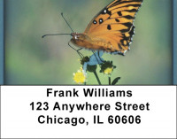 Butterflies in Nature Address Labels | LBZANI-17