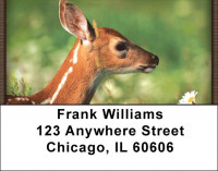 Baby Deer Address Labels | LBZANI-18