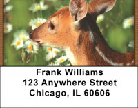 Baby Deer Address Labels | LBZANI-18