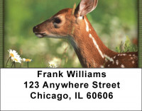Baby Deer Address Labels | LBZANI-18