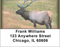 Elk Address Labels | LBZANI-23