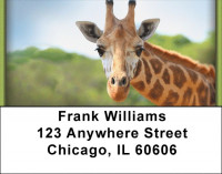 Giraffes Address Labels | LBZANI-27
