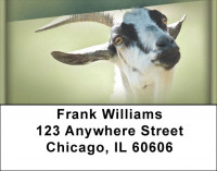 Goats Address Labels | LBZANI-28