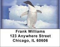 Penguins Address Labels | LBZANI-33