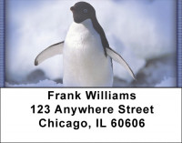 Penguins Address Labels | LBZANI-33