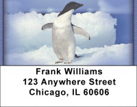 Penguins Address Labels | LBZANI-33