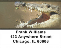 Alligators and Crocodiles Address Labels | LBZANI-43