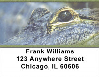 Alligators and Crocodiles Address Labels | LBZANI-43