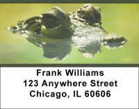 Alligators and Crocodiles Address Labels | LBZANI-43