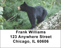 Black Bear Cubs Address Labels | LBZANI-44