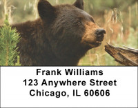 Black Bear Cubs Address Labels | LBZANI-44