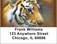 Bengal Tigers Address Labels | LBZANI-46