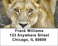 Big Cats Address Labels | LBZANI-47