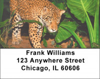 Big Cats Address Labels | LBZANI-47