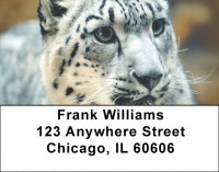 Big Cats Address Labels | LBZANI-47