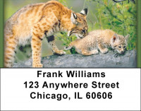 Bobcats Address Labels | LBZANI-48