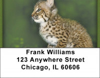Bobcats Address Labels | LBZANI-48