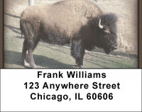 Buffalo Address Labels | LBZANI-49