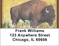 Buffalo Address Labels | LBZANI-49