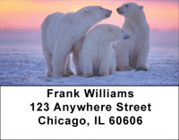 Arctic Bliss Address Labels | LBZANI-52