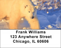 Arctic Bliss Address Labels | LBZANI-52