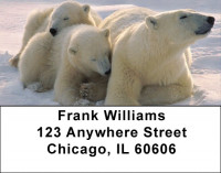 Arctic Bliss Address Labels | LBZANI-52