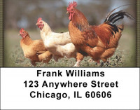 Chickens Address Labels | LBZANI-53