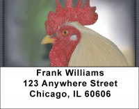 Chickens Address Labels | LBZANI-53
