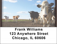 Cows Address Labels | LBZANI-54
