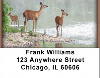Deer Address Labels | LBZANI-55