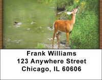 Deer in Four Seasons Address Labels | LBZANI-59
