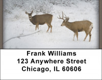 Deer in Winter Address Labels | LBZANI-60