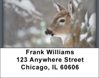 Deer in Winter Address Labels | LBZANI-60