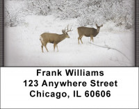 Winter Wonderland with Deer | LBZANI-61