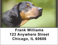 Doberman Address Labels | LBZANI-62