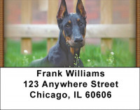 Doberman Address Labels | LBZANI-62