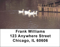 Ducks at Daybreak Address Labels | LBZANI-64