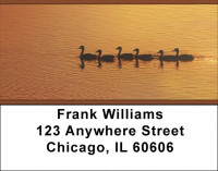 Ducks on a Golden Pond Address Labels | LBZANI-65