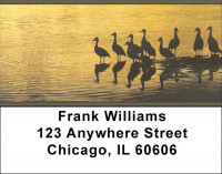 Ducks on a Golden Pond Address Labels | LBZANI-65