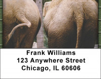 Heads Or Tails Address Labels | LBZANI-68