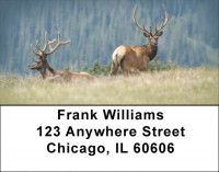 Elk Racks Address Labels | LBZANI-71