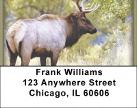 Elk in the High Country Address Labels | LBZANI-72