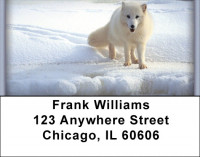 Sly as a Fox Address Labels | LBZANI-75
