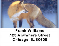 Sly as a Fox Address Labels | LBZANI-75