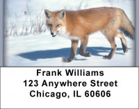 Sly as a Fox Address Labels | LBZANI-75