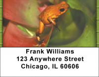 Funky Frogs Address Labels | LBZANI-76
