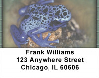 Funky Frogs Address Labels | LBZANI-76