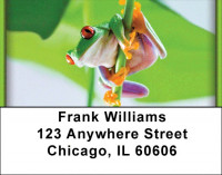 Eyes of the Frog Address Labels | LBZANI-77