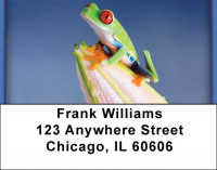 Eyes of the Frog Address Labels | LBZANI-77