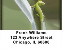 Geckos Address Labels | LBZANI-78